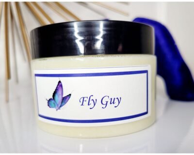 Fly Guy
